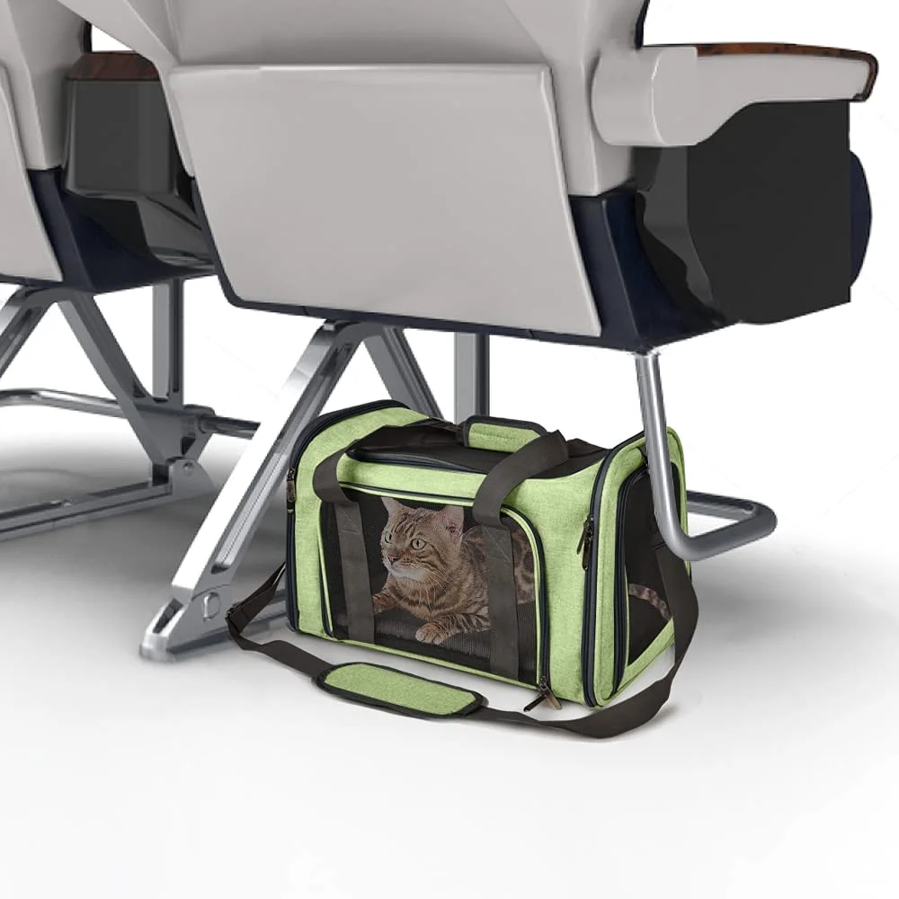 A green carrier under the seat in front