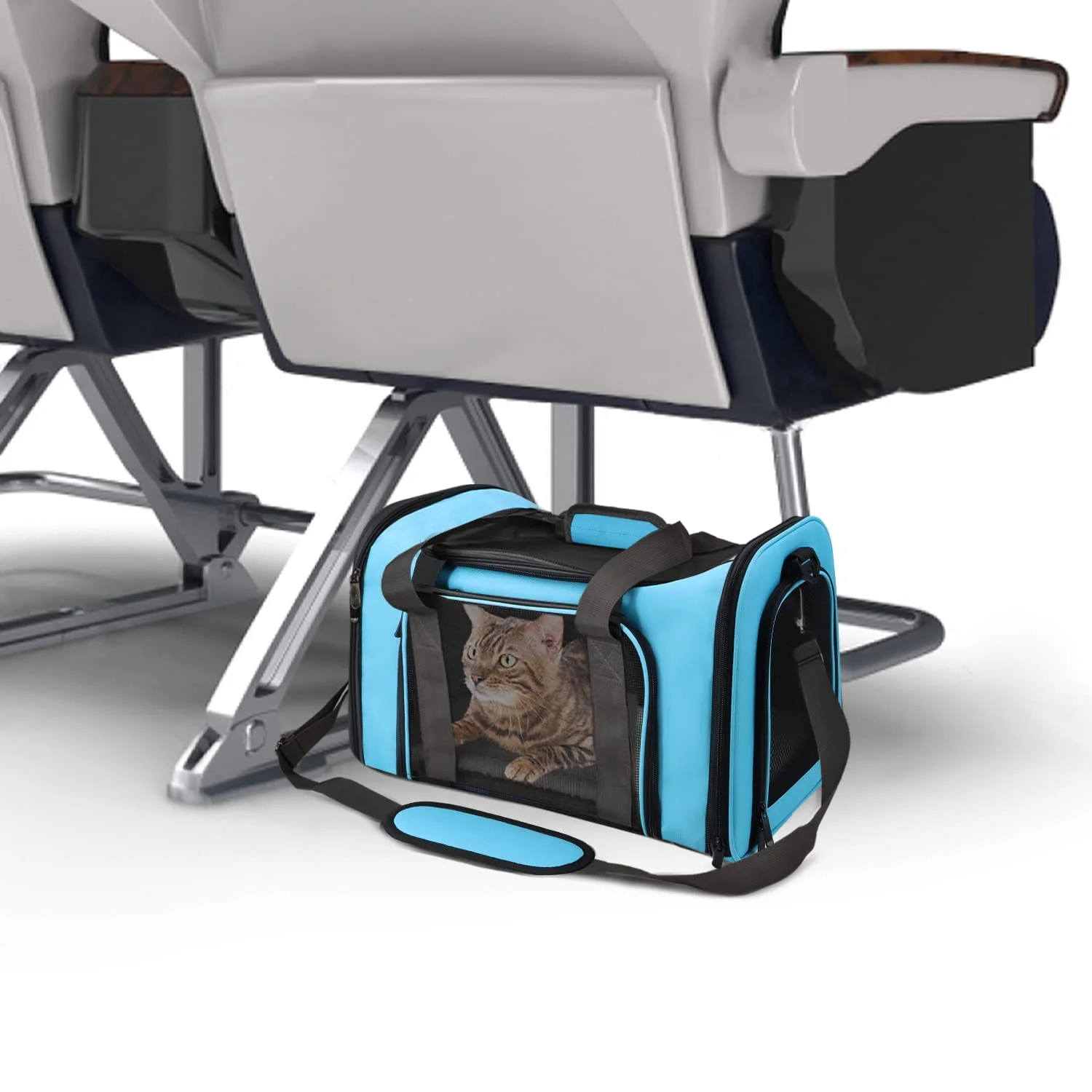 A tabby cat in a blue Henkelion carrier under an airplane seat