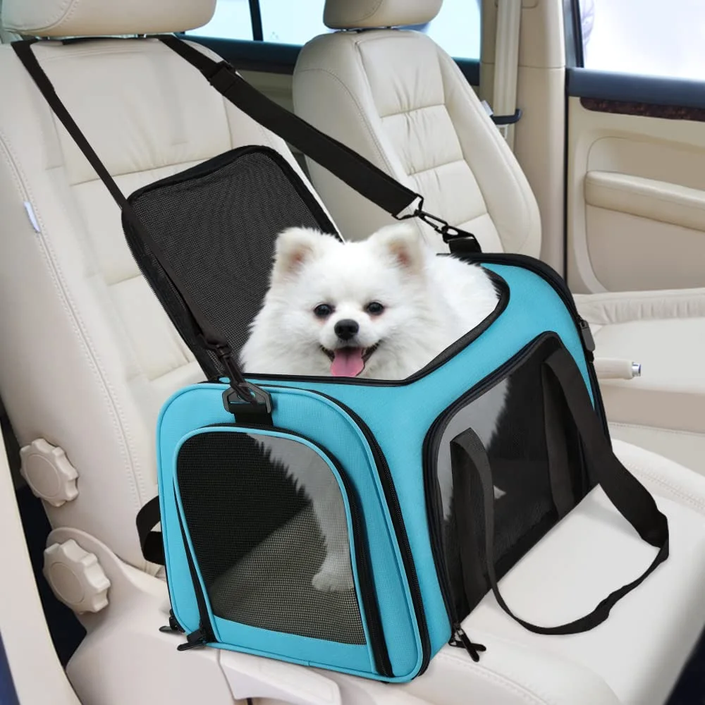 A small dog rides in a blue Henkelion carrier